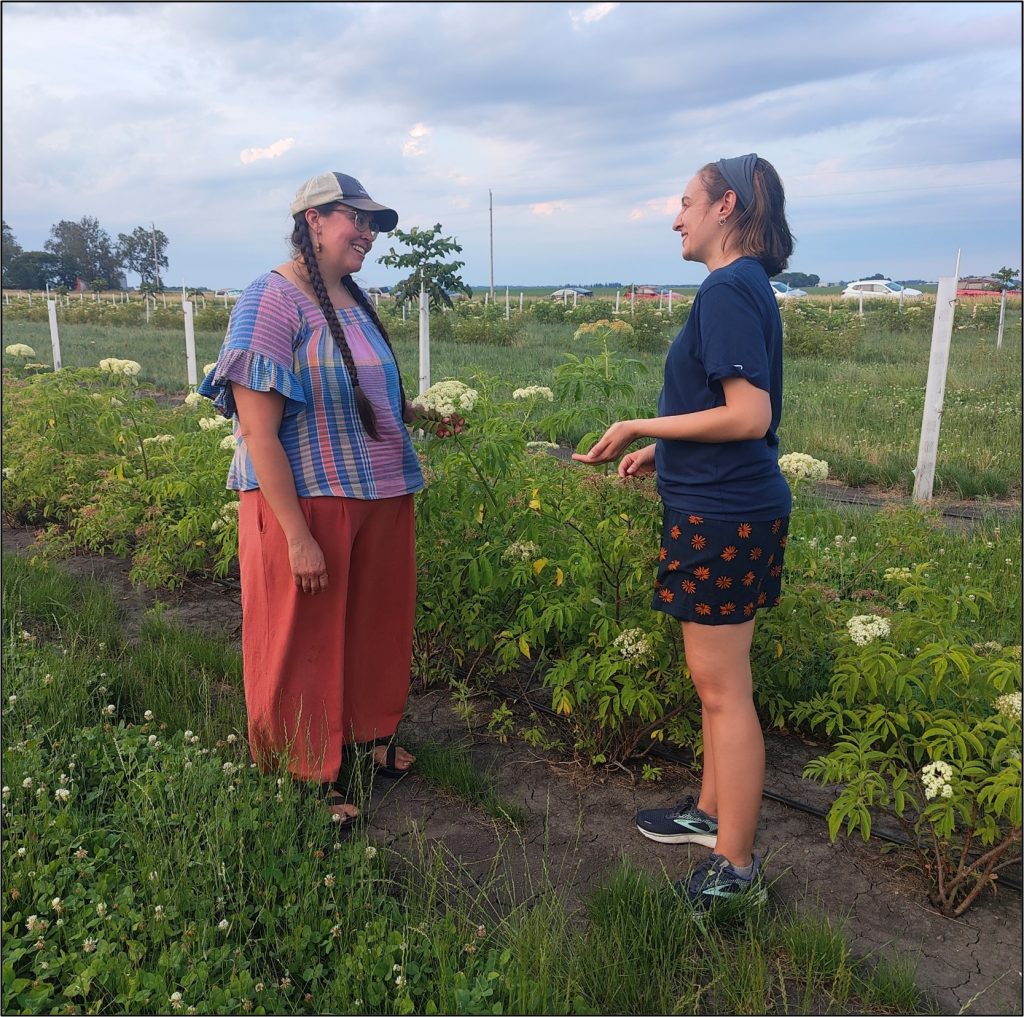 Semi-structured agroforestry interview in Illinois