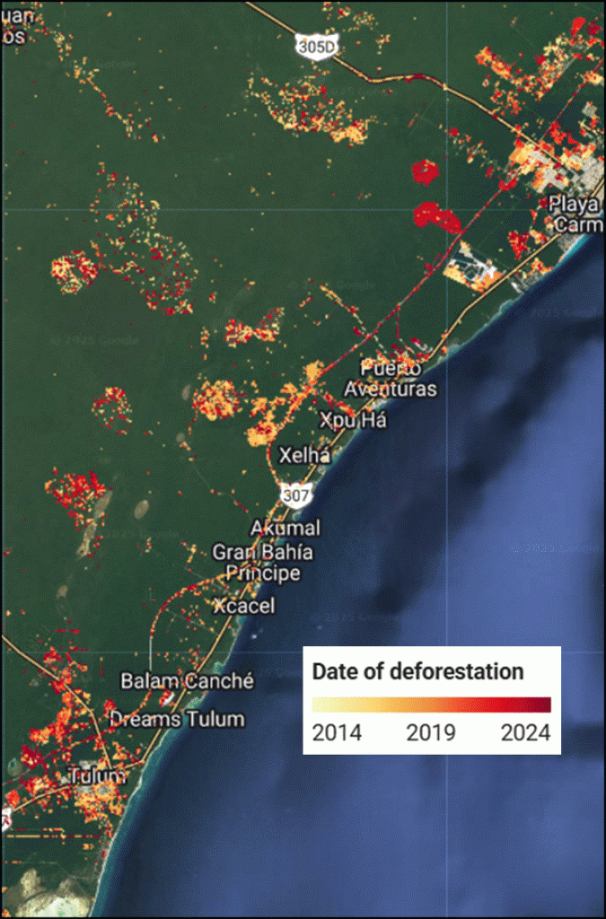 Map of forest loss along Tren Maya route in Mexico's Yucatan peninsula