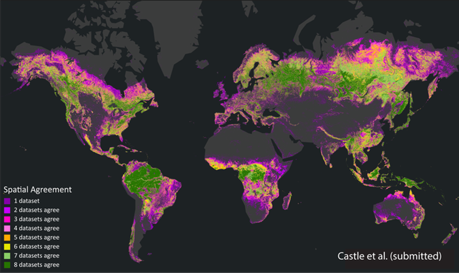 Global forest dataset spatial congruence from Castle et al paper published in One Earth